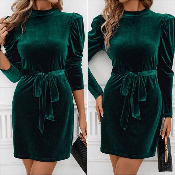 Pine Velvet Luxe Mini Dress - Picture 3 of 10